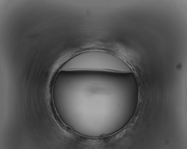 X0000090440245200707131037