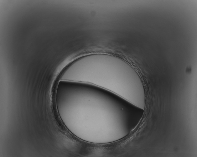 X0000090440246200707131037