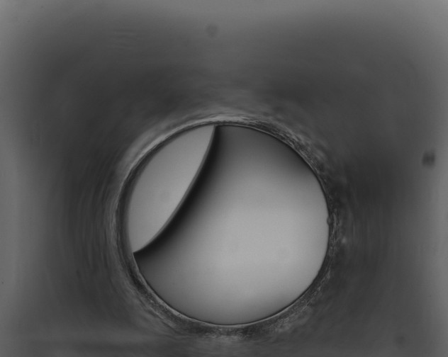 X0000090440247200707131037