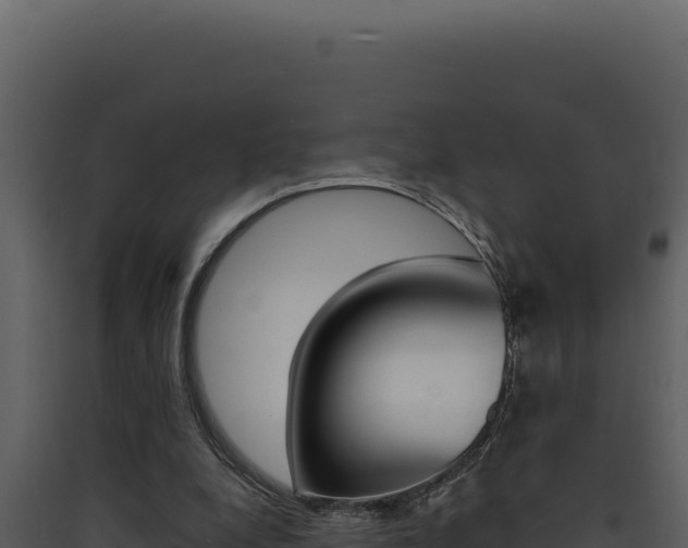X0000090440248200707131037