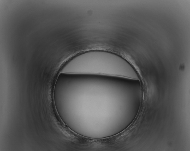X0000090440249200707131037