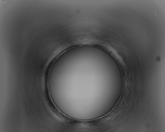 X0000090440250200707131037