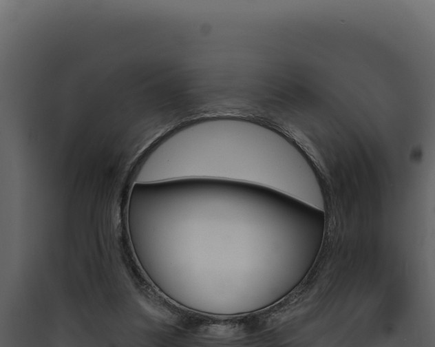 X0000090440251200707131037