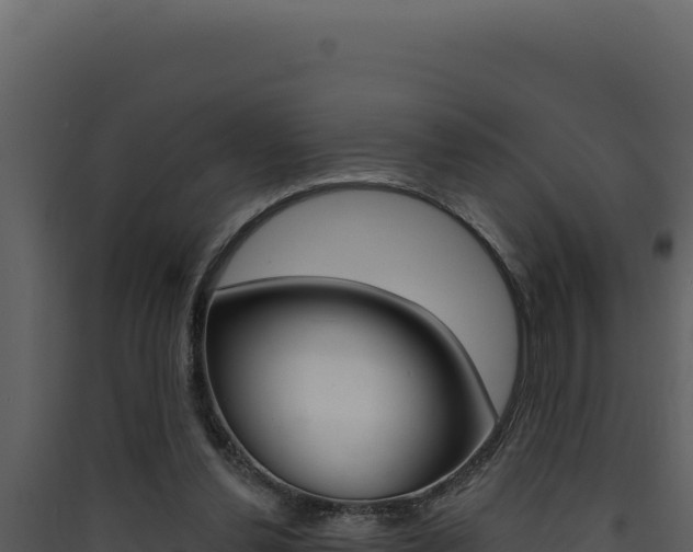 X0000090440252200707131037