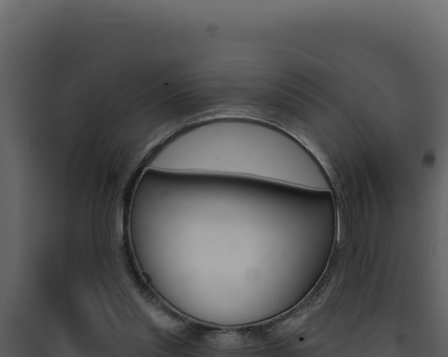 X0000090440253200707131037