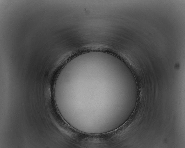 X0000090440254200707131037