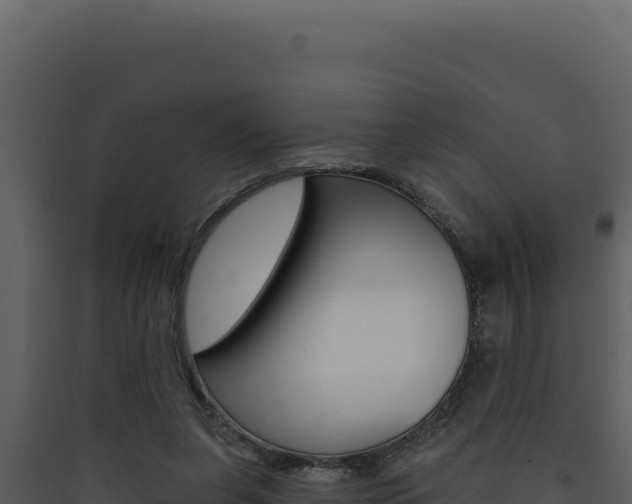 X0000090440255200707131037