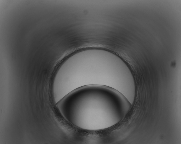 X0000090440256200707131037