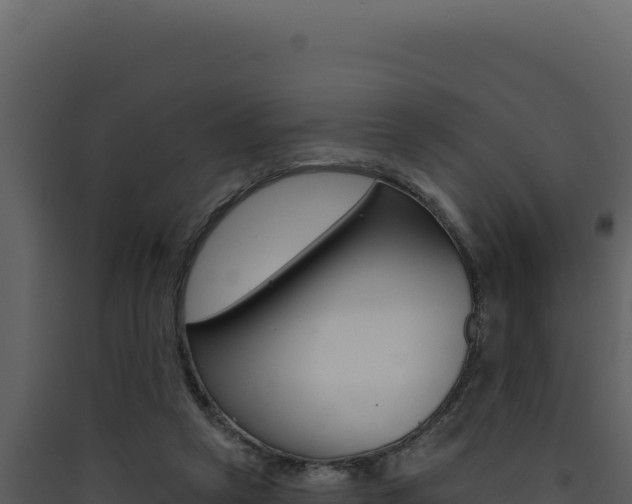 X0000090440257200707131037