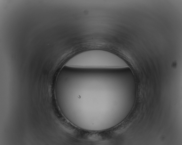 X0000090440258200707131037