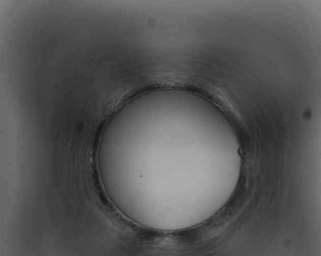 X0000090440259200707131037