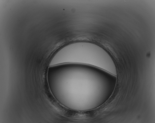 X0000090440260200707131037
