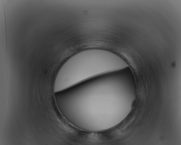 X0000090440261200707131037
