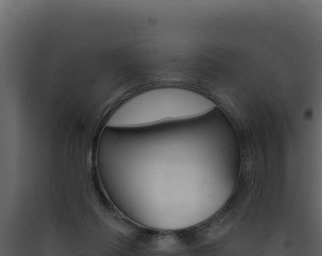 X0000090440262200707131037