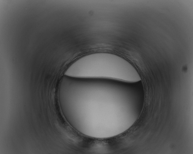 X0000090440263200707131037