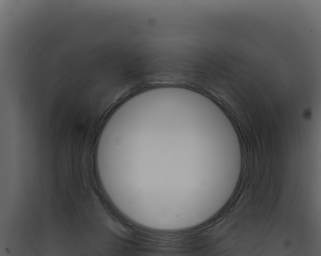 X0000090440264200707131037