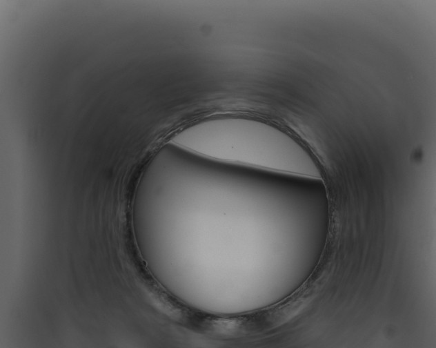 X0000090440265200707131037