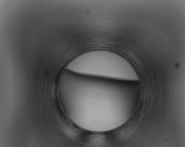X0000090440266200707131037