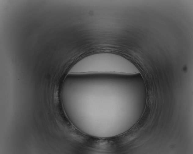 X0000090440267200707131037
