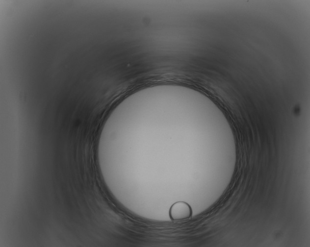 X0000090440268200707131037