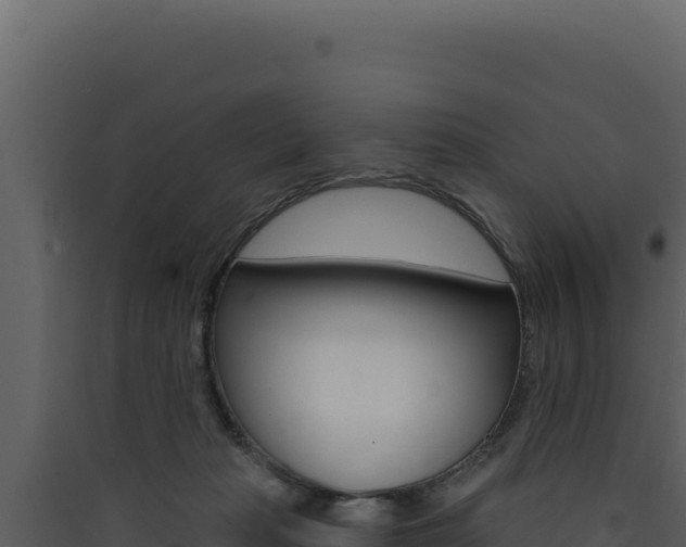 X0000090440269200707131037