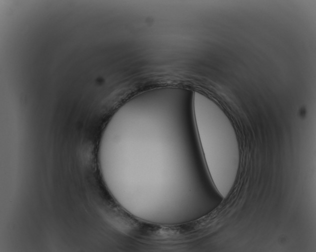X0000090440270200707131037