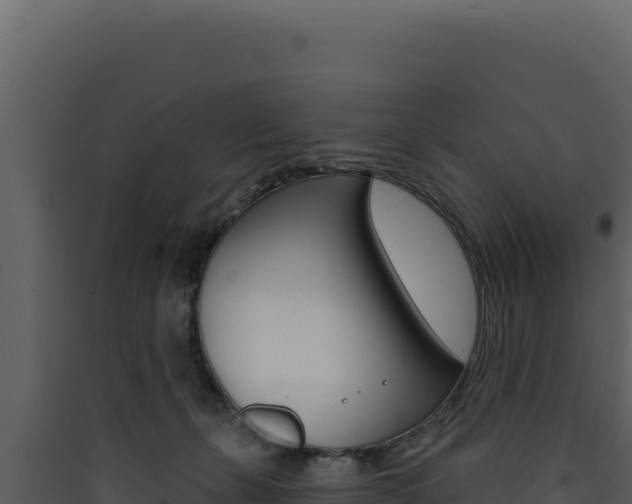 X0000090440271200707131037