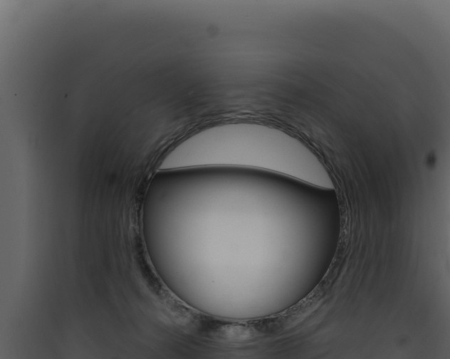 X0000090440272200707131037