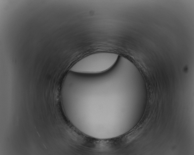 X0000090440273200707131037