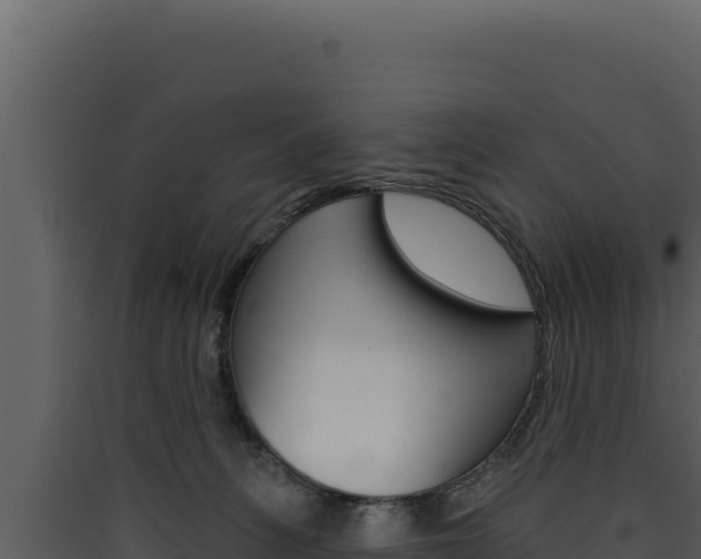 X0000090440275200707131037