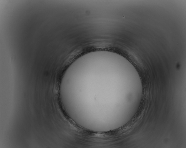 X0000090440277200707131037