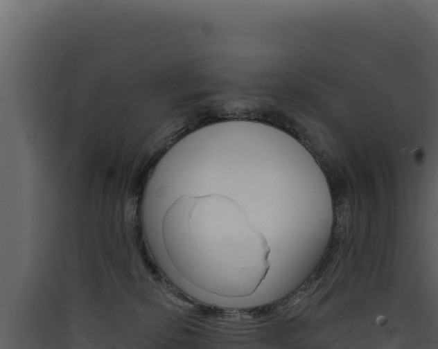 X0000090440278200707131037