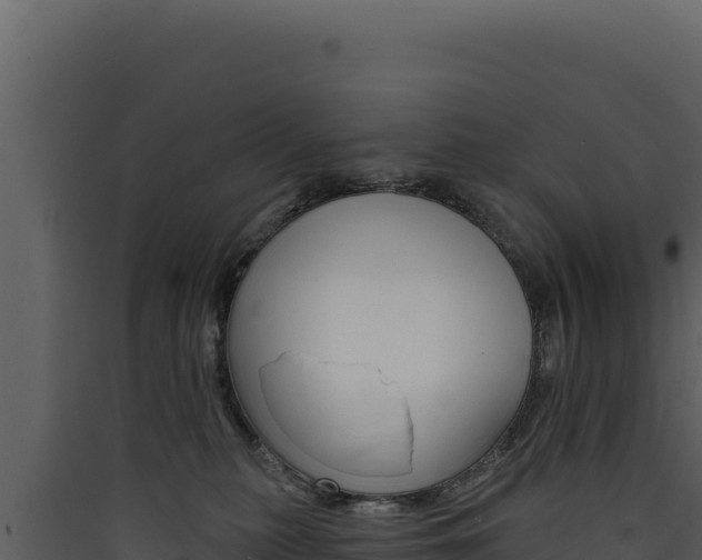 X0000090440279200707131037
