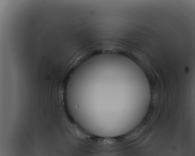 X0000090440282200707131037