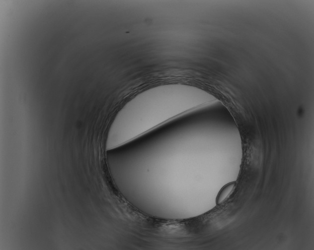 X0000090440283200707131037