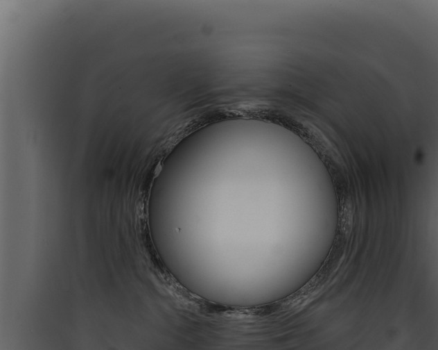 X0000090440284200707131037