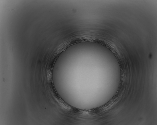 X0000090440285200707131037