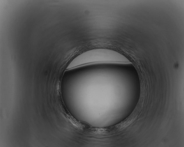 X0000090440288200707131037