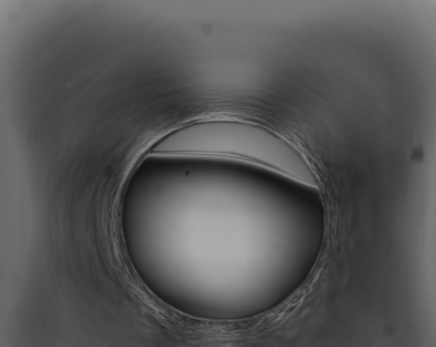 X0000090440289200707131036