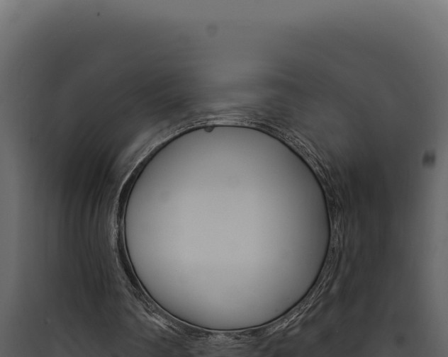 X0000090440290200707131036