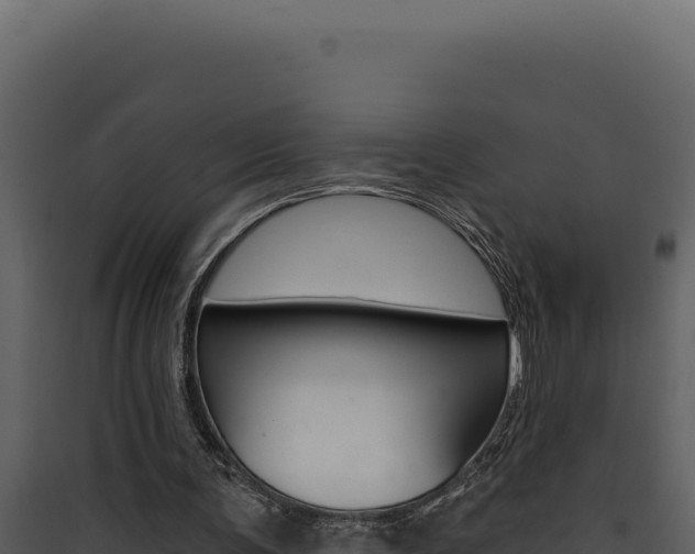 X0000090440291200707131036