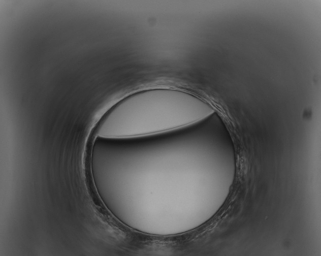 X0000090440292200707131036