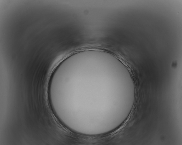 X0000090440293200707131036