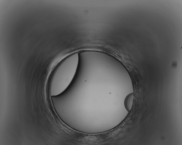 X0000090440294200707131036