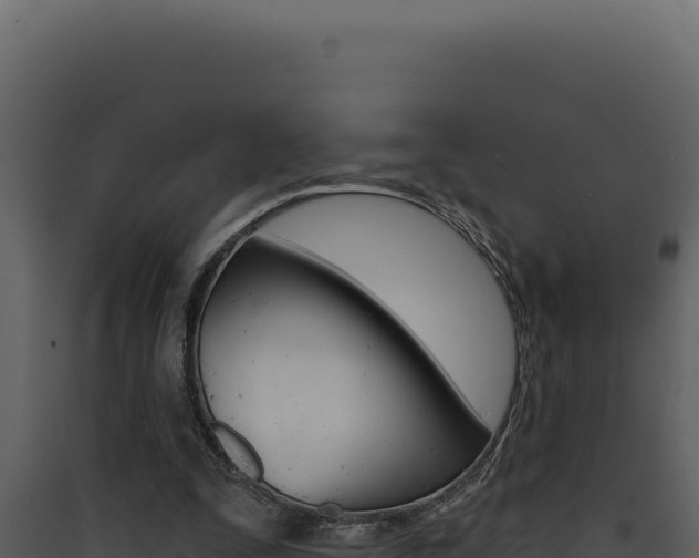 X0000090440295200707131036