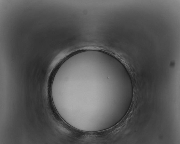X0000090440296200707131036
