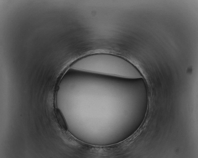 X0000090440297200707131036