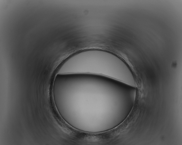 X0000090440299200707131036