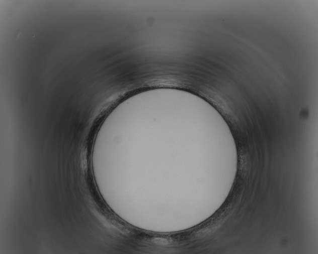 X0000090440302200707131036