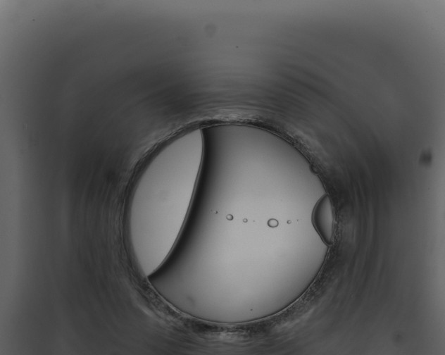X0000090440303200707131036